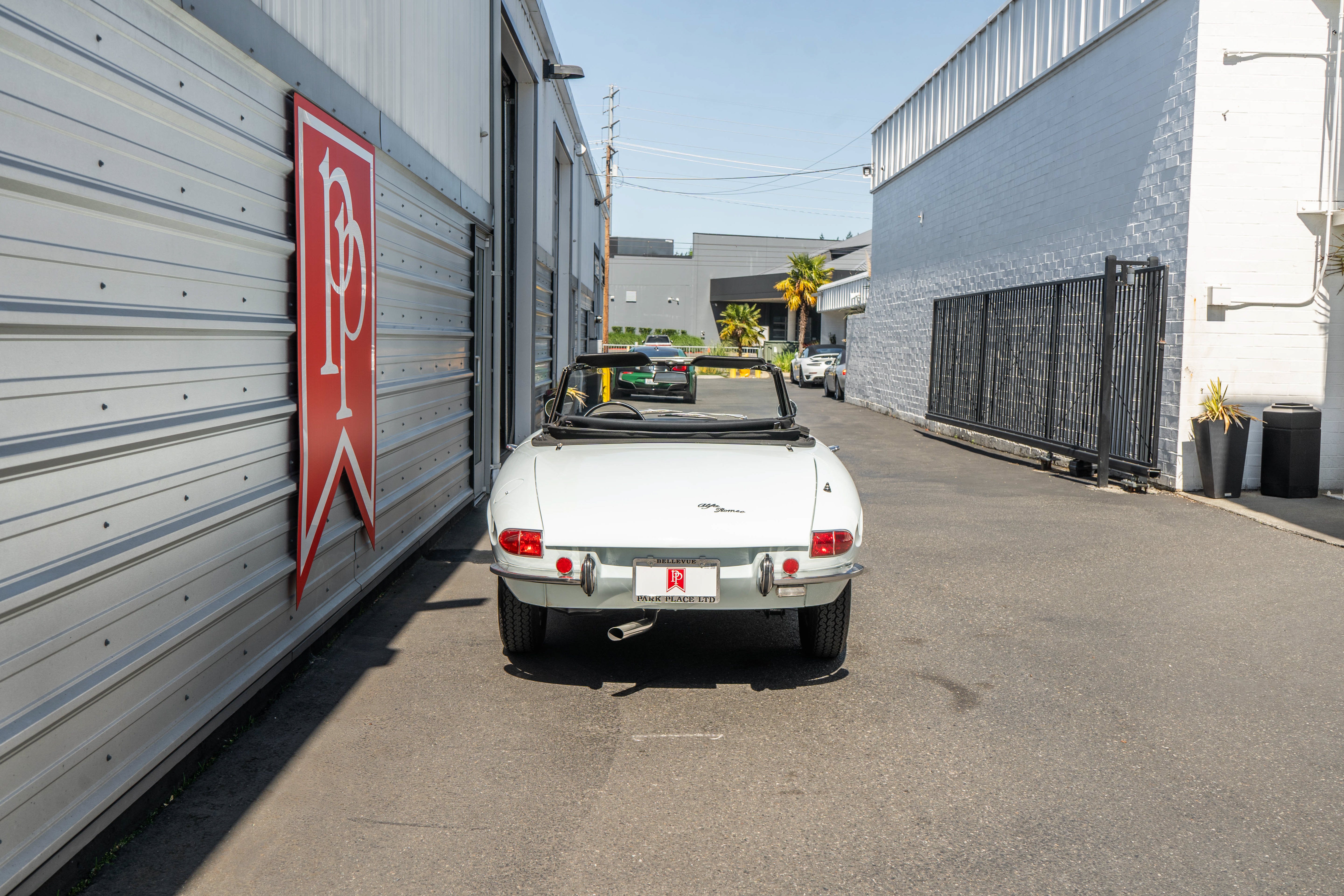 1967 Alfa Romeo Spider Duetto 1600