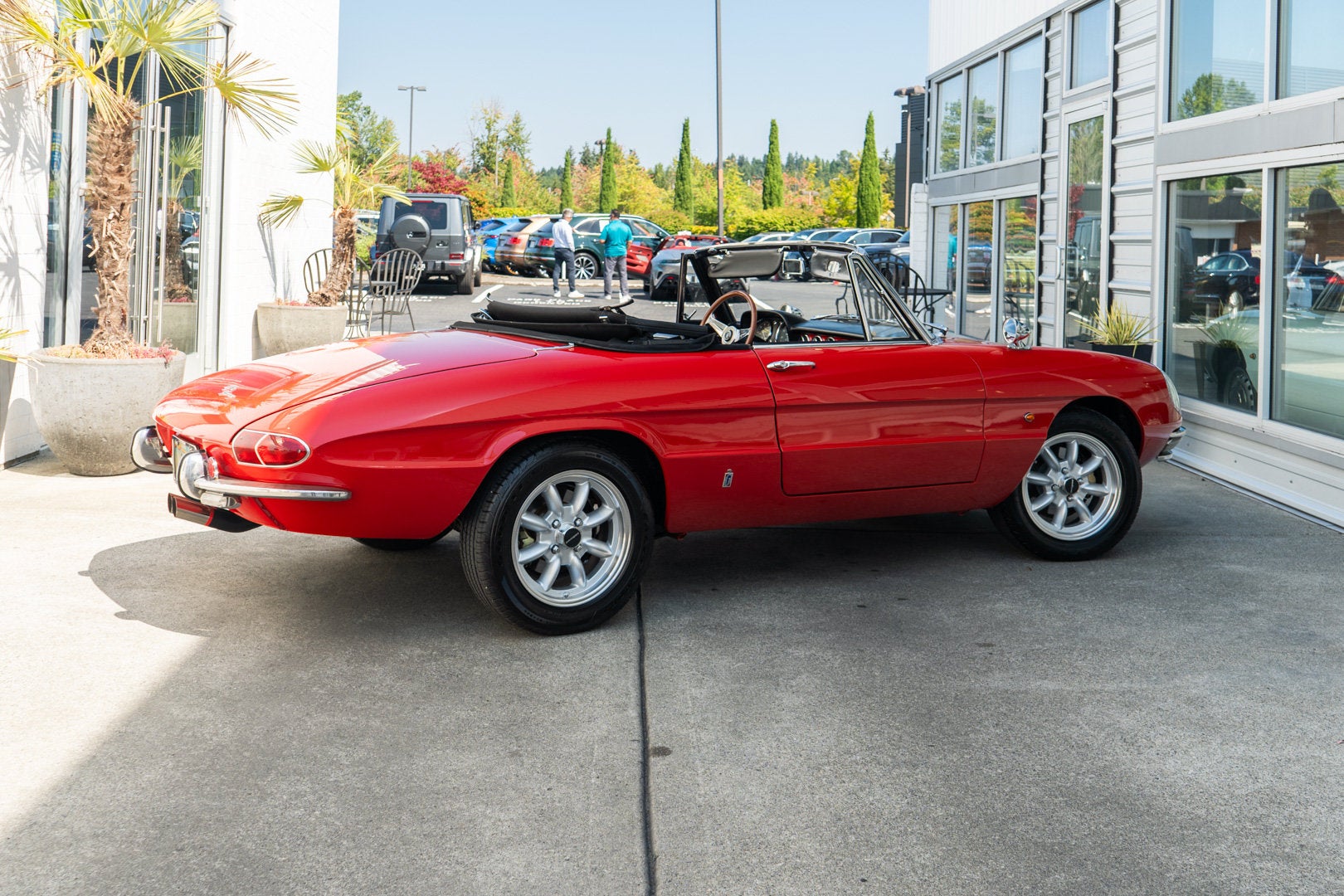1967 Alfa Romeo Spider Duetto 1600