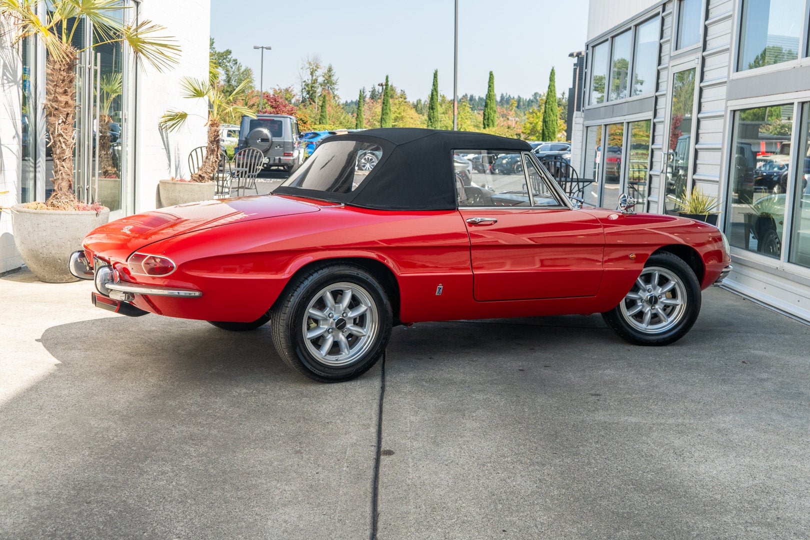 1967 Alfa Romeo Spider Duetto 1600