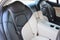 2012 Fisker Karma EcoSport