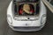 2005 Maserati Gran Sport 2dr Cpe