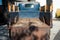 1946 Dodge Power Wagon Base